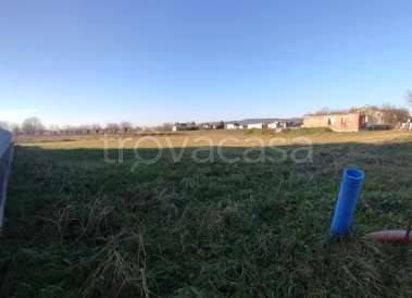 terreno edificabile in vendita ad Orgiano