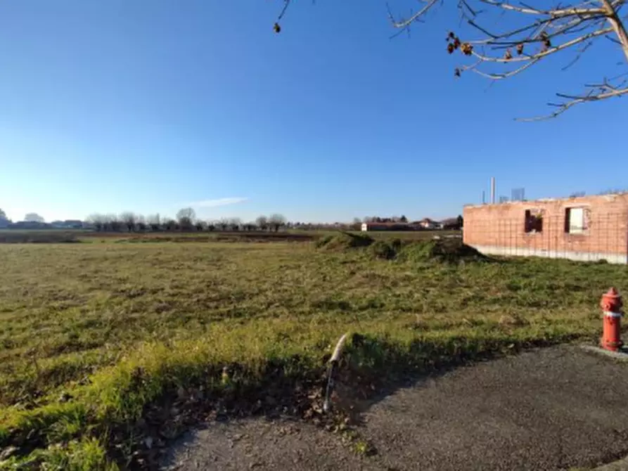 terreno edificabile in vendita ad Orgiano