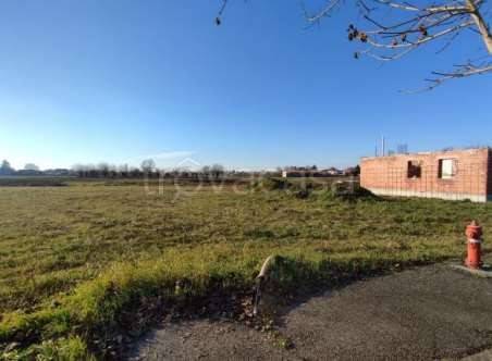 terreno edificabile in vendita ad Orgiano