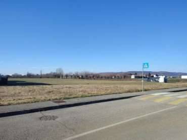 terreno agricolo in vendita ad Orgiano
