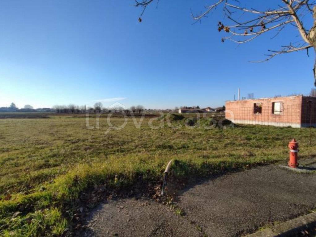 terreno edificabile in vendita ad Orgiano