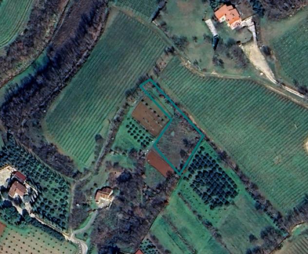 terreno agricolo in vendita ad Orgiano