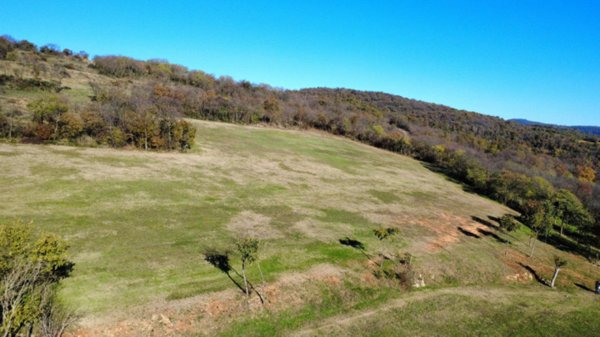 terreno in vendita ad Orgiano