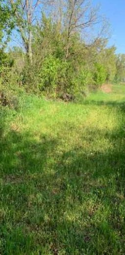 terreno agricolo in vendita ad Orgiano