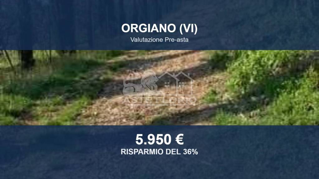 terreno agricolo in vendita ad Orgiano