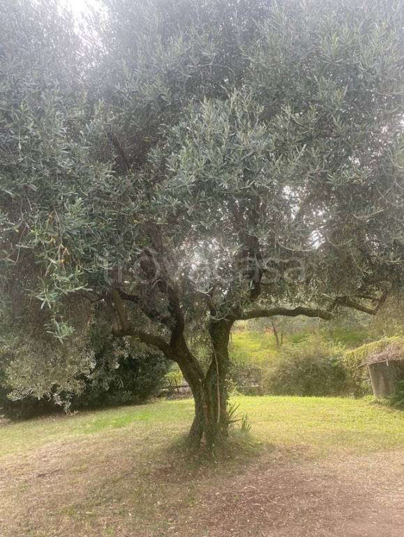 casa indipendente in vendita a Pianezze