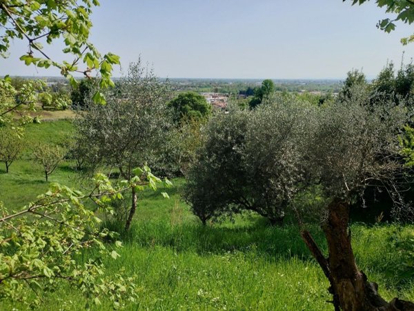 terreno edificabile in vendita a Pianezze