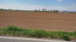 terreno agricolo in vendita a Pojana Maggiore in zona Ponte Cazzola