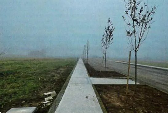 terreno edificabile in vendita a Pojana Maggiore