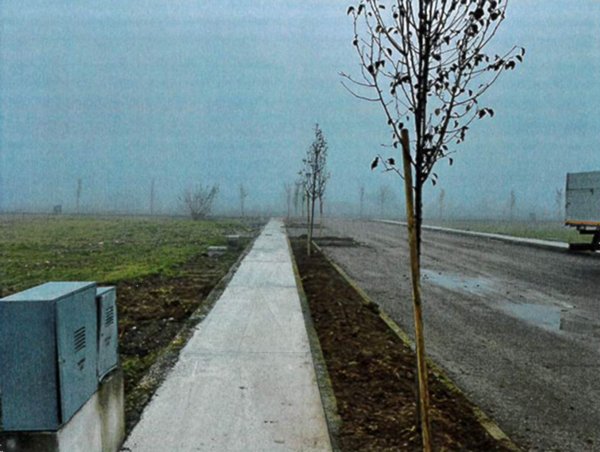 terreno agricolo in vendita a Pojana Maggiore