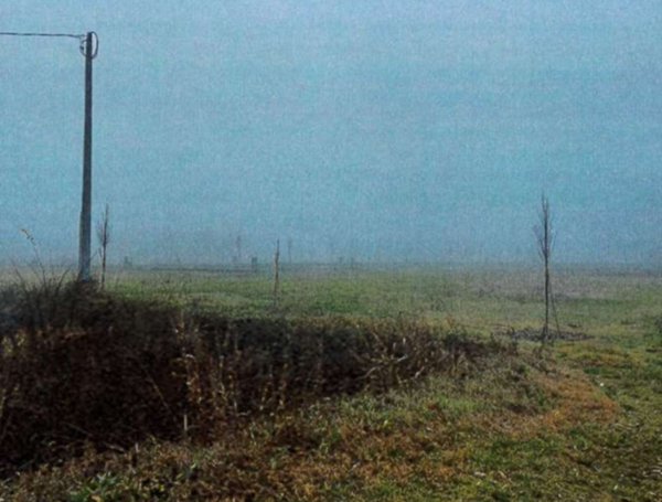 terreno edificabile in vendita a Pojana Maggiore