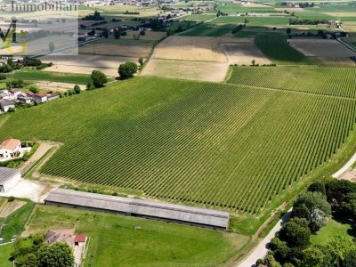 capannone in vendita a Pojana Maggiore