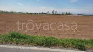 terreno agricolo in vendita a Pojana Maggiore