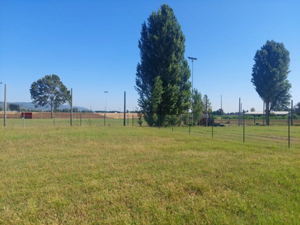 terreno edificabile in vendita a Pojana Maggiore