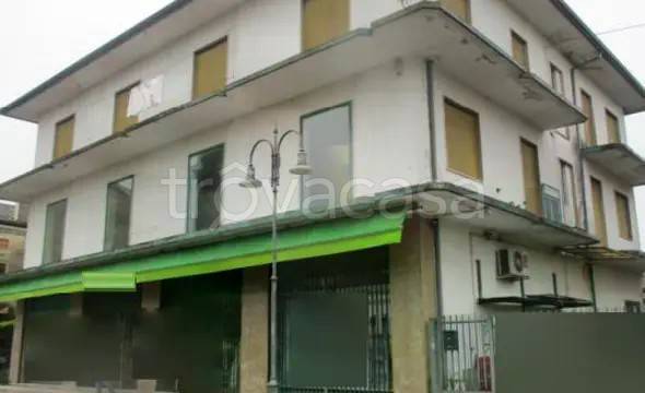 appartamento in vendita a Pojana Maggiore