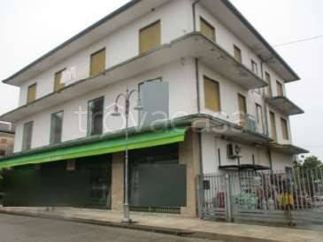 casa indipendente in vendita a Pojana Maggiore