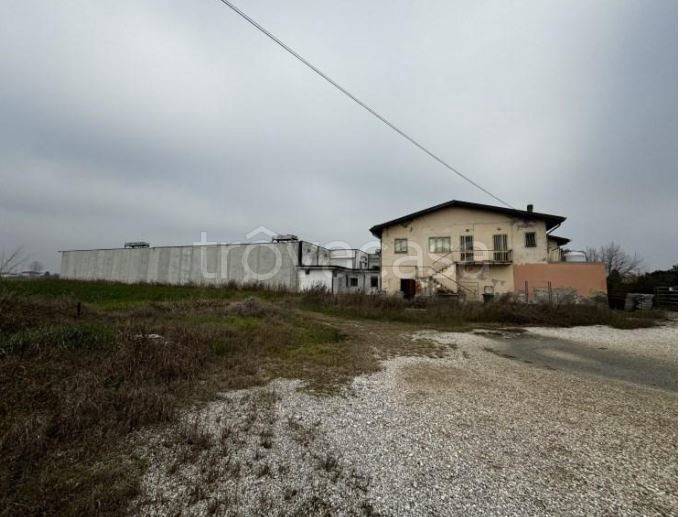 locale commerciale in vendita a Pojana Maggiore in zona Cicogna