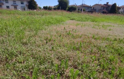 terreno edificabile in vendita a Pojana Maggiore