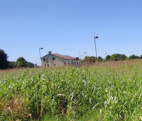 terreno edificabile in vendita a Pojana Maggiore