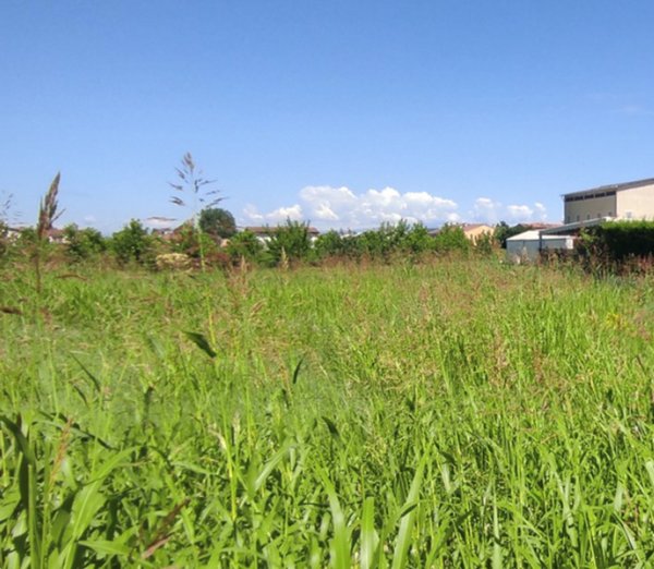 terreno edificabile in vendita a Pojana Maggiore
