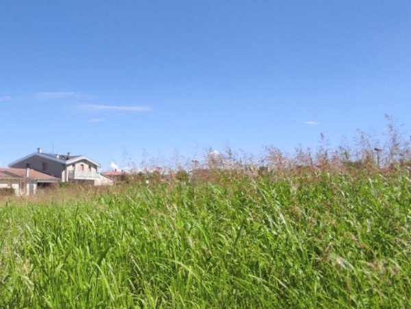 terreno edificabile in vendita a Pojana Maggiore