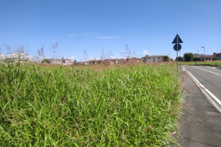 terreno edificabile in vendita a Pojana Maggiore