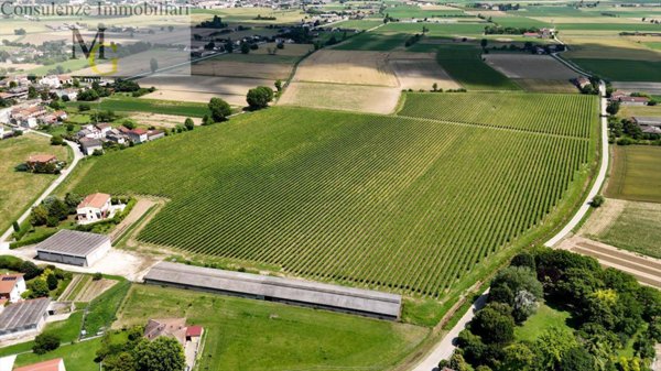 casale in vendita a Pojana Maggiore