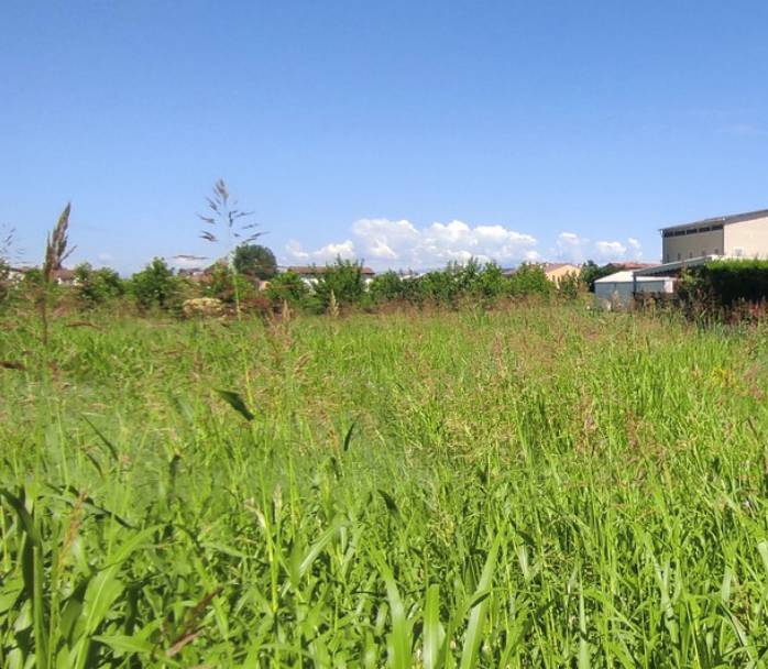 terreno in vendita a Pojana Maggiore