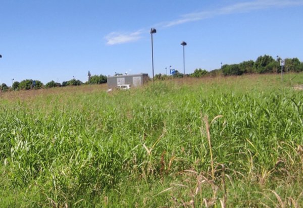 terreno in vendita a Pojana Maggiore