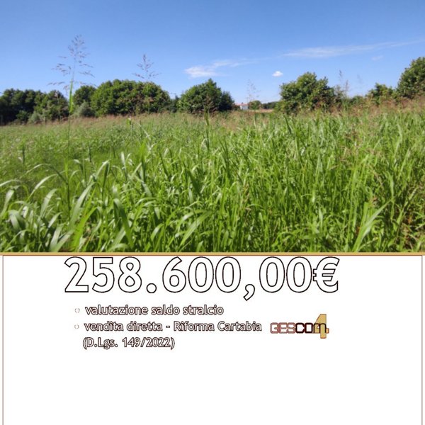 terreno in vendita a Pojana Maggiore