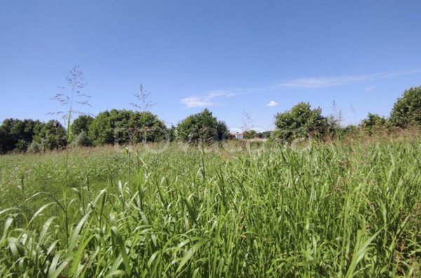 terreno in vendita a Pojana Maggiore