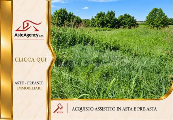 terreno in vendita a Pojana Maggiore