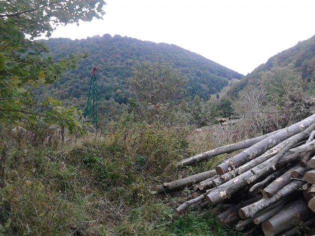 terreno agricolo in vendita a Posina