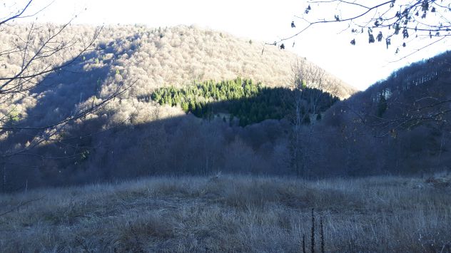 terreno agricolo in vendita a Posina