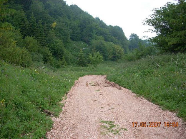 terreno agricolo in vendita a Posina