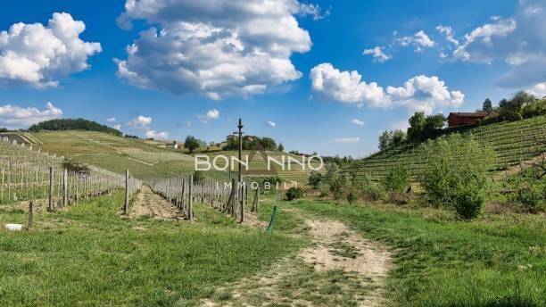terreno edificabile in vendita a Pove del Grappa