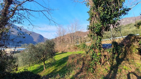 esavano in vendita a Pove del Grappa