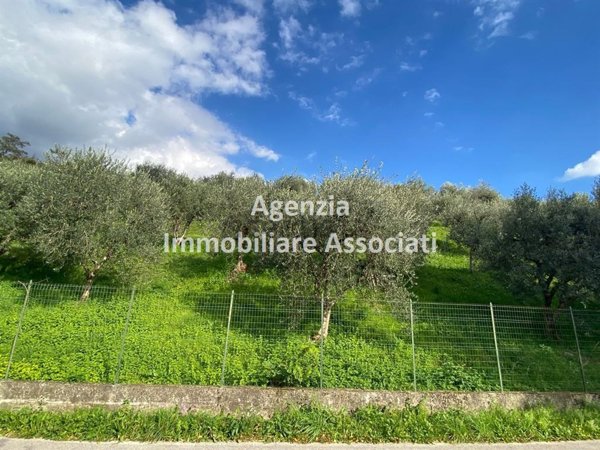 terreno edificabile in vendita a Pove del Grappa