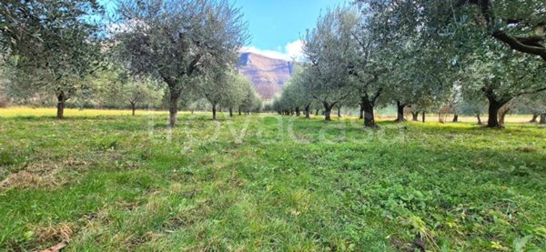terreno agricolo in vendita a Pove del Grappa