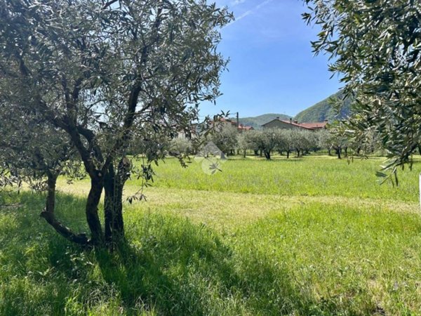 terreno edificabile in vendita a Pove del Grappa