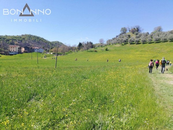 terreno agricolo in vendita a Pove del Grappa