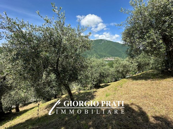 casa indipendente in vendita a Pove del Grappa