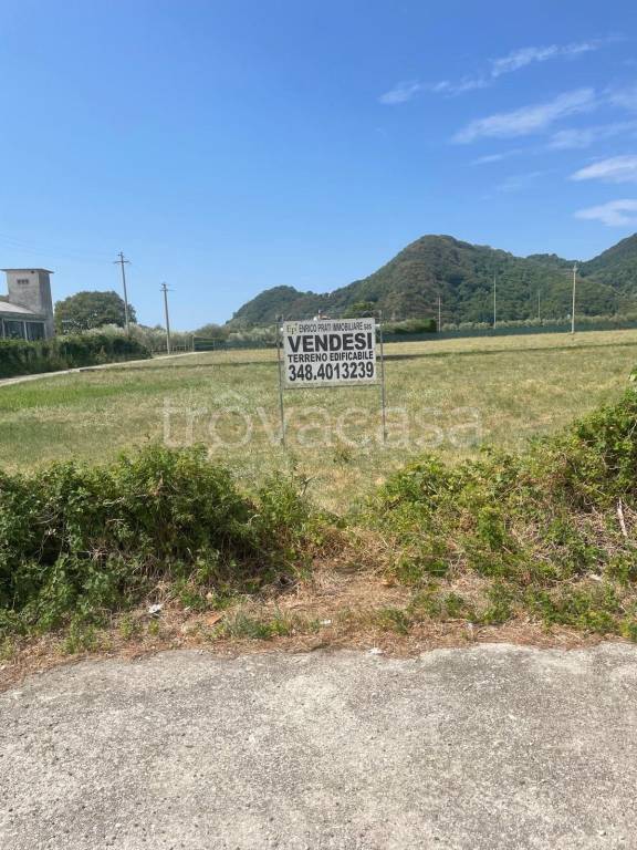 terreno agricolo in vendita a Pove del Grappa