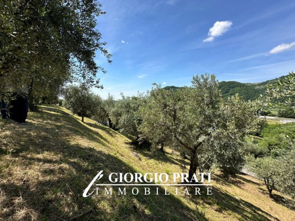 casa indipendente in vendita a Pove del Grappa
