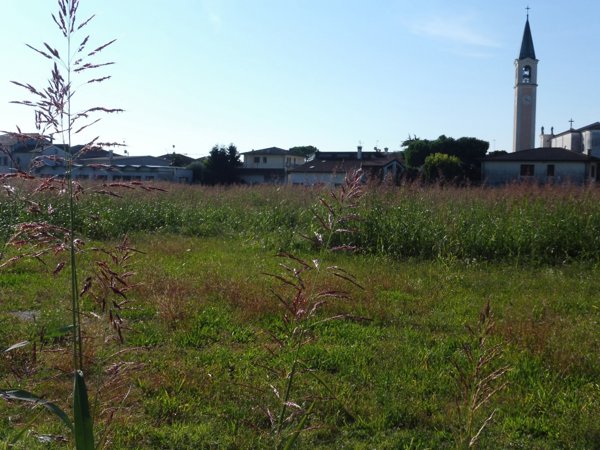 terreno edificabile in vendita a Pozzoleone