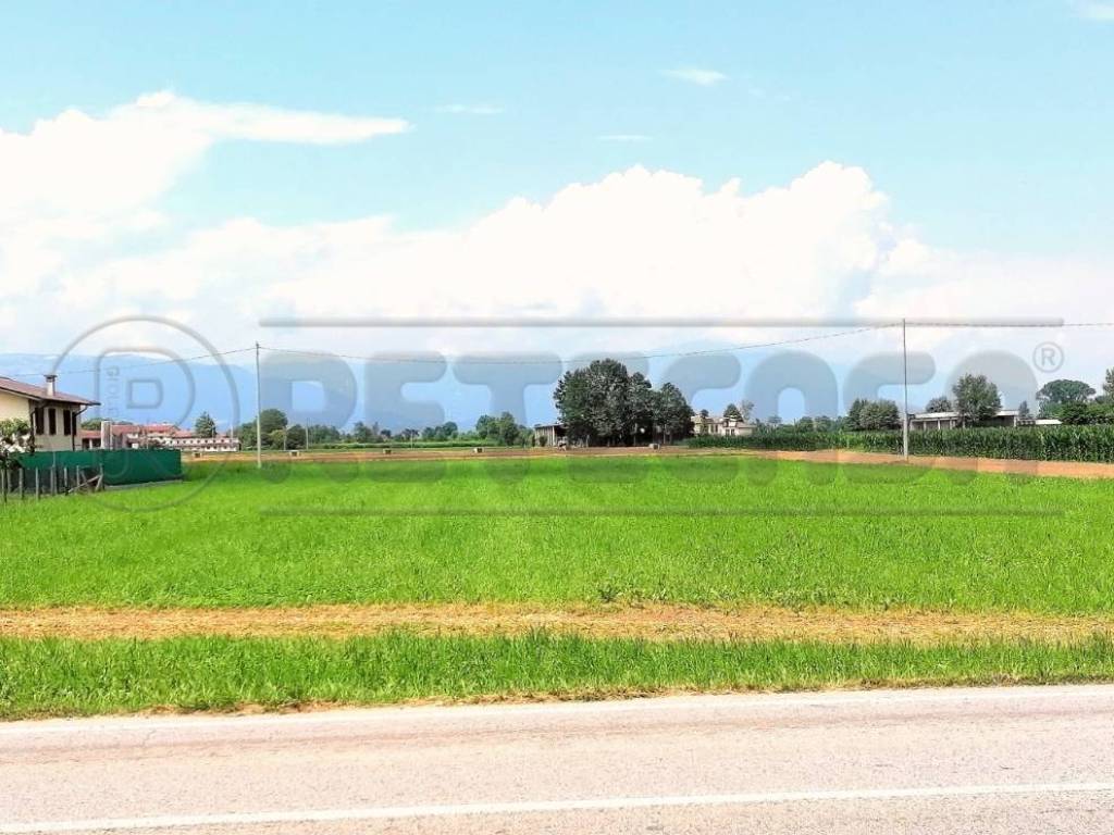 terreno agricolo in vendita a Pozzoleone