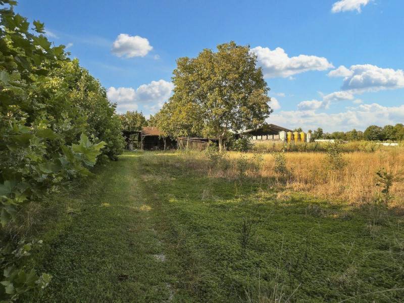 terreno agricolo in vendita a Pozzoleone