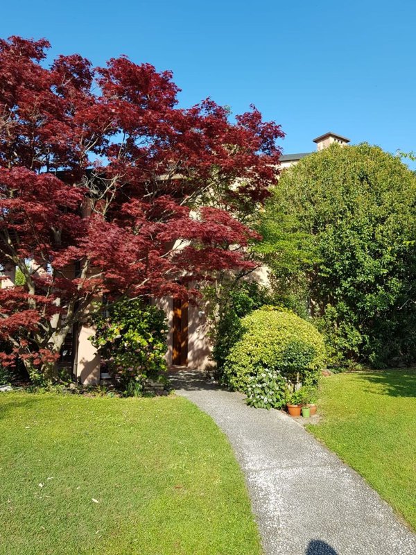 casa indipendente in vendita a Pozzoleone