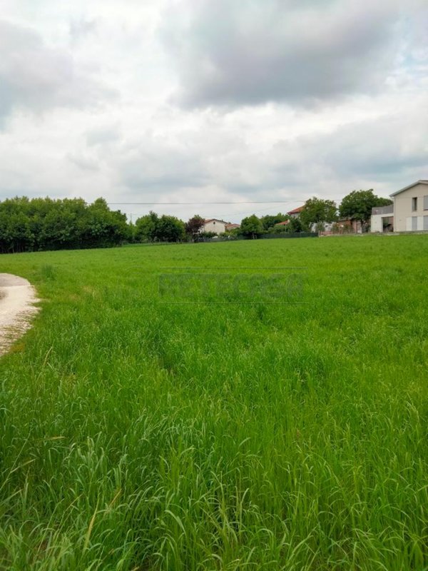 terreno agricolo in vendita a Pozzoleone in zona Belvedere