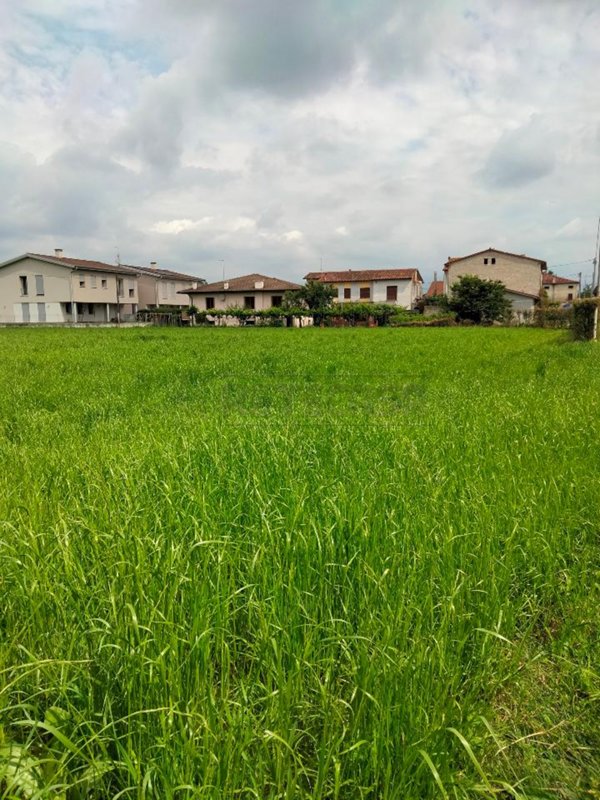 terreno agricolo in vendita a Pozzoleone in zona Belvedere